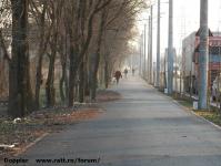 Imagine atasata: Extindere troleibuz Calea Lipovei - 2016.01.28 - 27.jpg